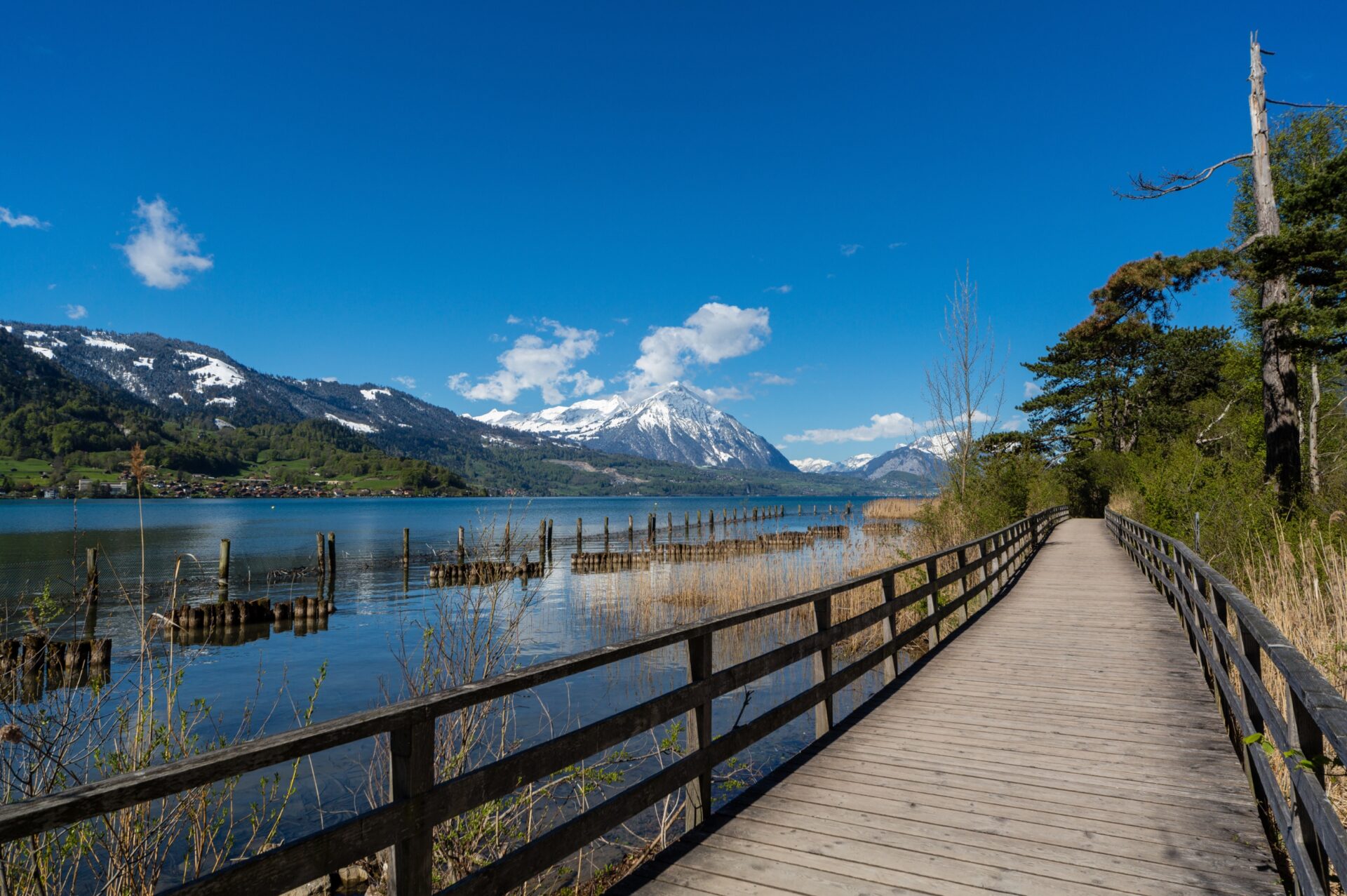 Steg in den Naturschutzgebiet